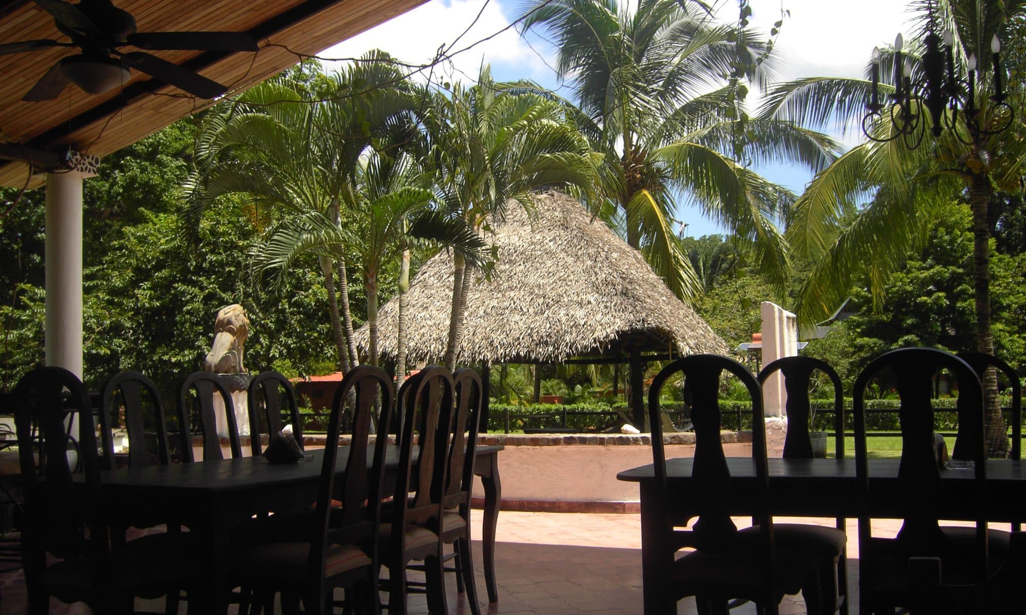 Organic Restaurant samara Experience